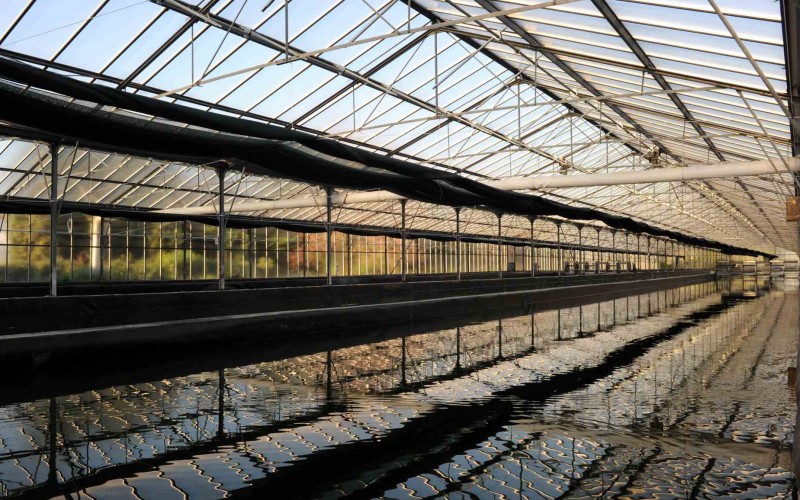 Bassin de culture de spiruline aux Confignes