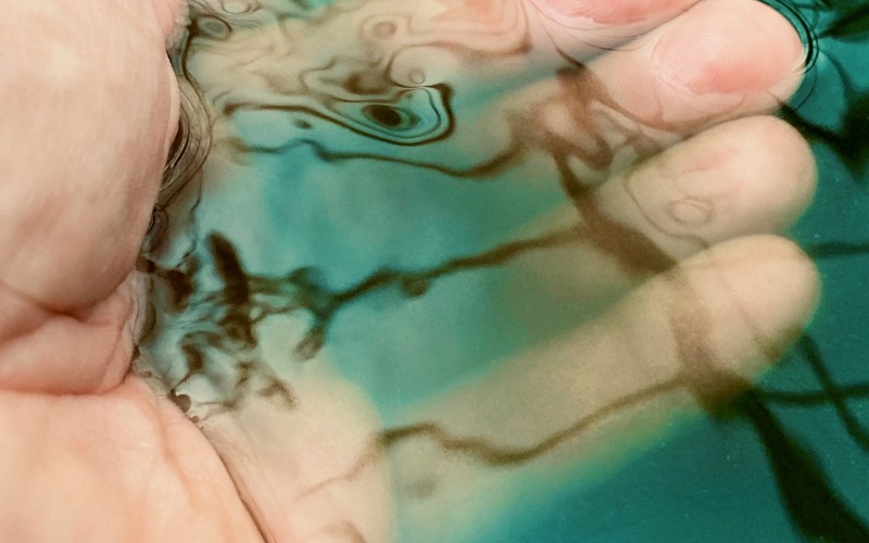 Extraire la spiruline des bassins, pour la rendre consommable (notre aqua-ferme des Confignes en Provence)