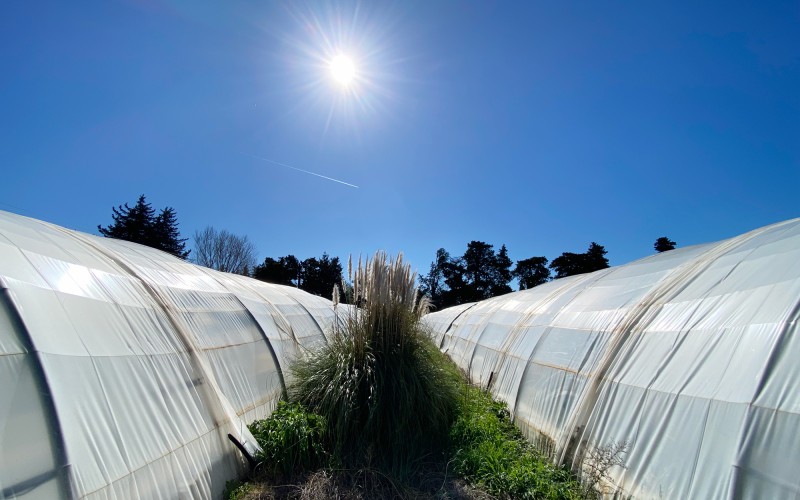 Nos premiers saisonniers ont repris ce lundi, la météo est bien meilleure, voire particulièrement ensoleillée ce matin…