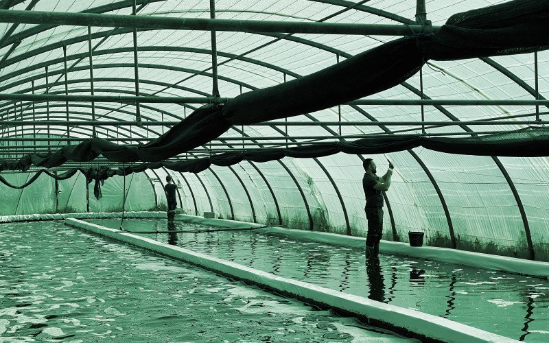 Lilian et Julien à l'oeuvre pour améliorer le système d'aération d'un bassin de spiruline