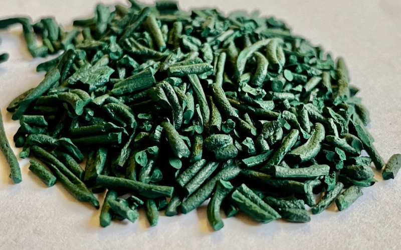 Paillette de spiruline qui a 5 ans — n'est pas différente de celle récemment produite