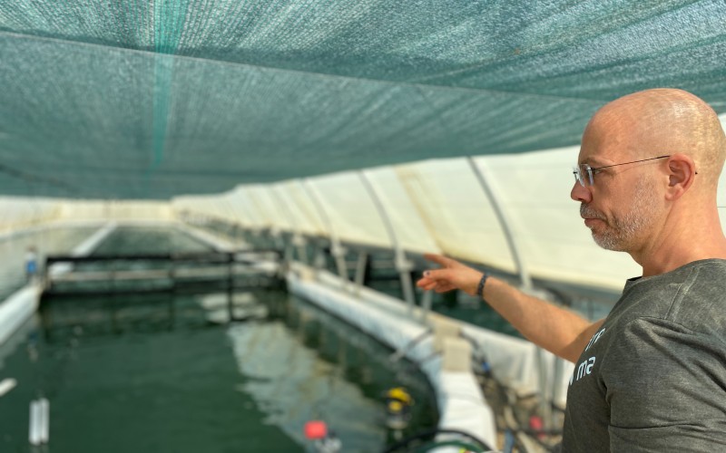 Yann, chef de culture explique comment Solis Culturae adapte la culture de spiruline aux fortes chaleurs