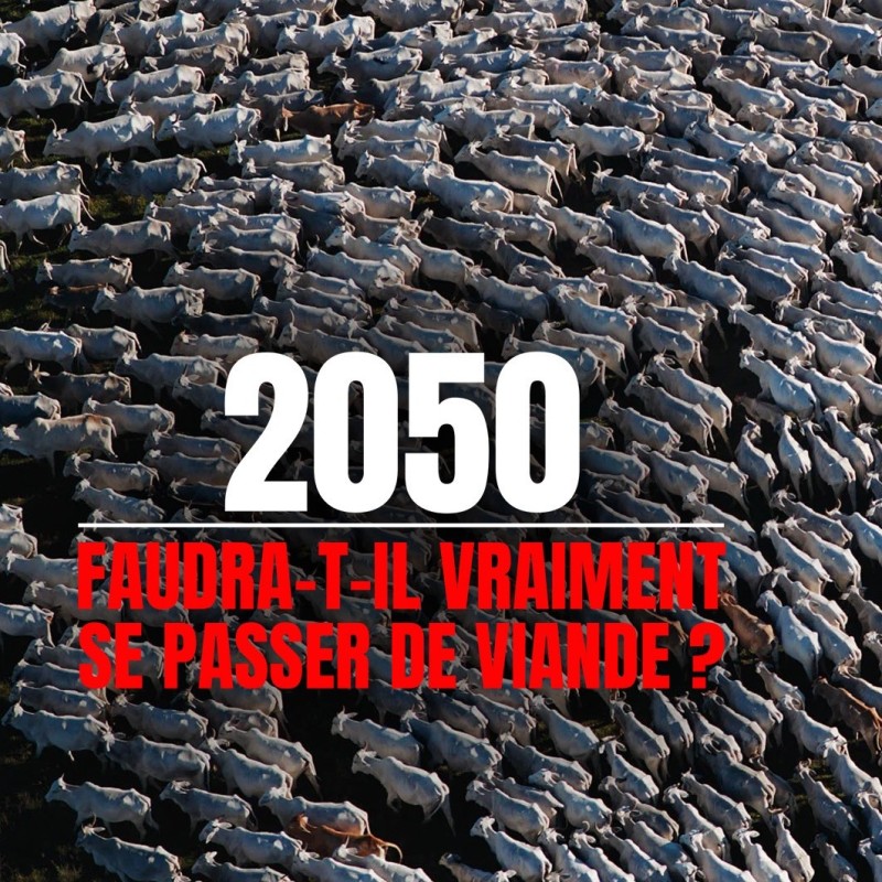 Affiche : 2050 faudra-t-il vraiment se passer de viande ? 