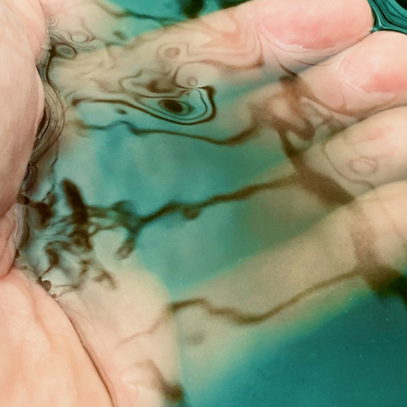 Extraire la spiruline des bassins, pour la rendre consommable (notre aqua-ferme des Confignes en Provence)