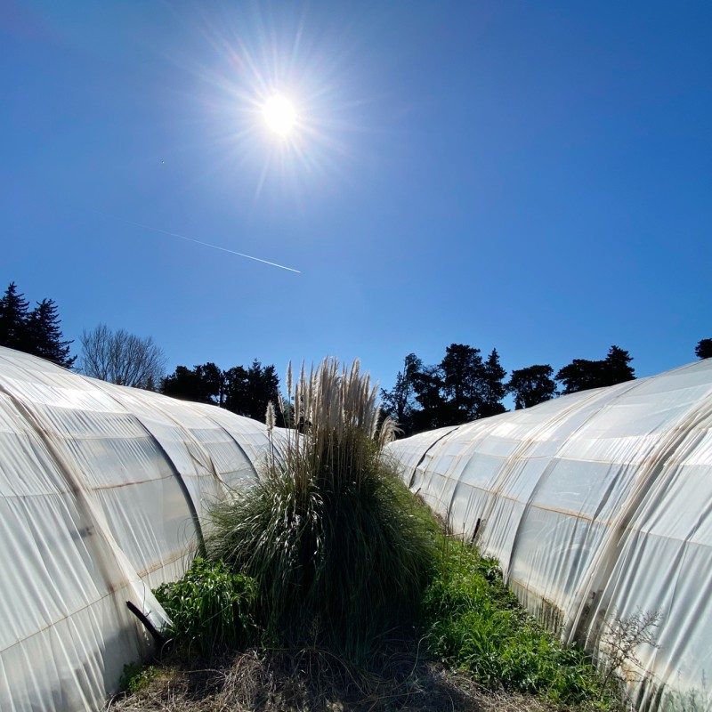 Nos premiers saisonniers ont repris ce lundi, la météo est bien meilleure, voire particulièrement ensoleillée ce matin…