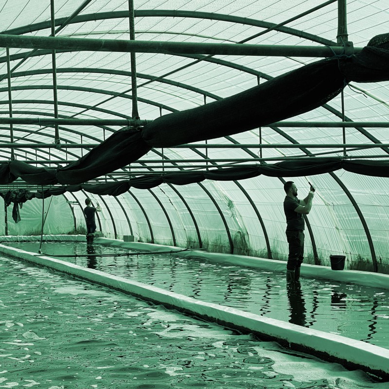 Lilian et Julien à l'oeuvre pour améliorer le système d'aération d'un bassin de spiruline