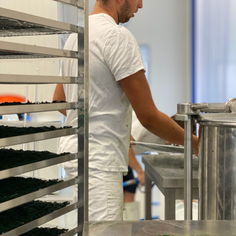 Mais que fait Brice ? exploitation des Confines, séchage de la spiruline