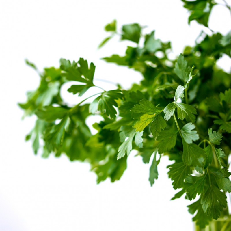 Persil feuilles (Kai Reschke @Pixabay)