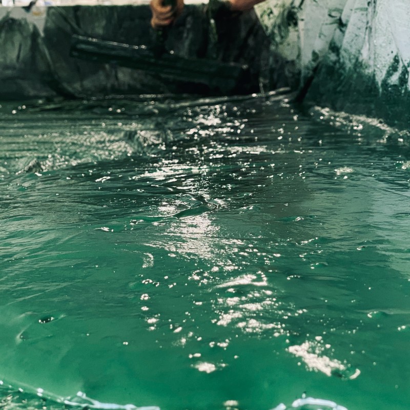 Récolte de notre spiruline, elle est filtrée et extraite des bassins pour former une crème