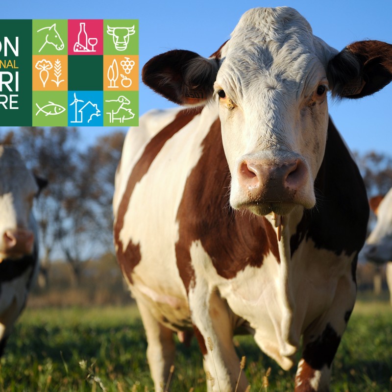 Solis Culturae au Salon de l'Agriculture