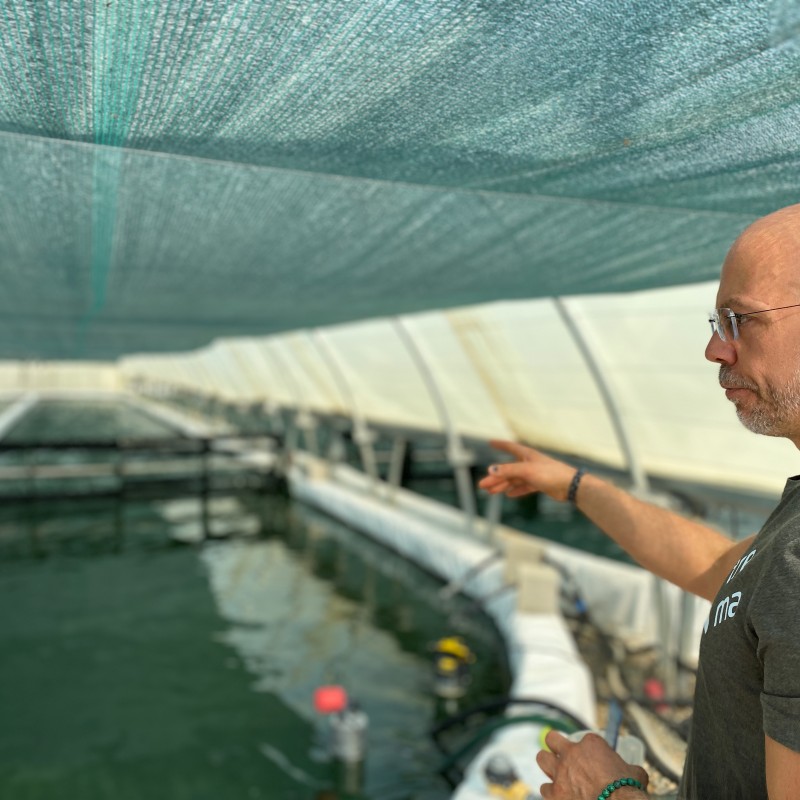 Yann, chef de culture explique comment Solis Culturae adapte la culture de spiruline aux fortes chaleurs